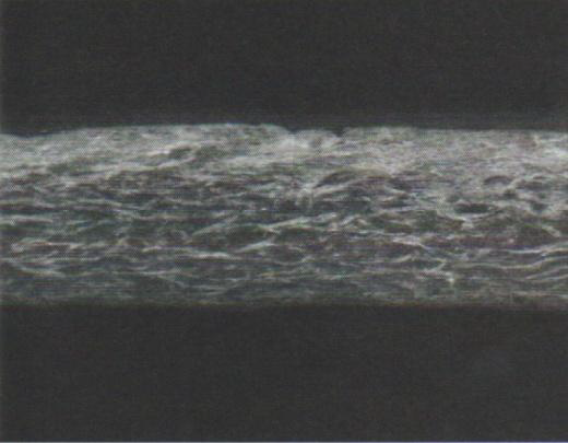 Natural Leather Cross-section